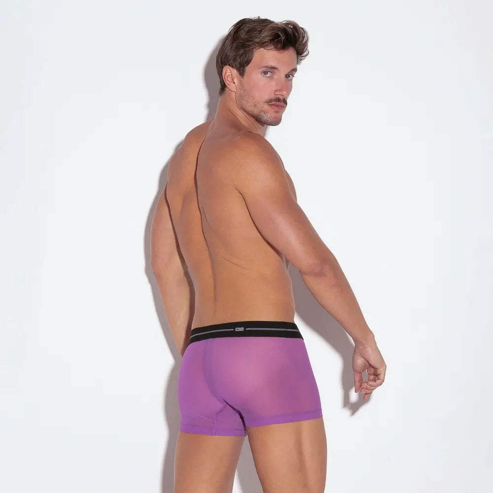 GRAPE SHEER Mesh Trunk